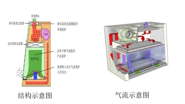 生物安全柜工作原理你了解多少？